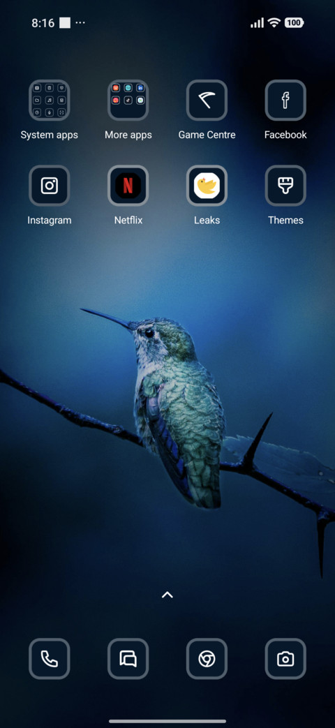 Blue Bird screenshot
