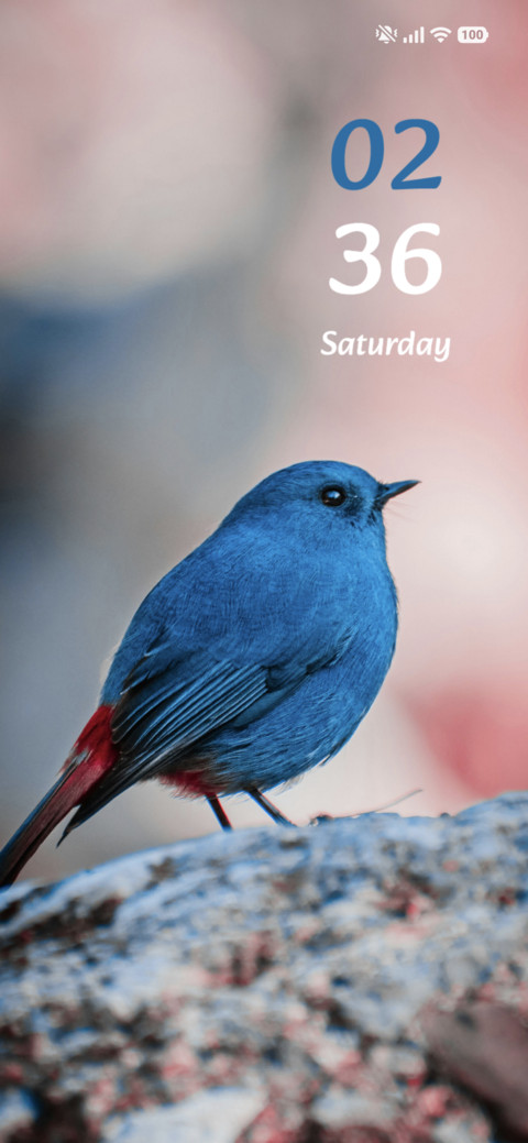 Blue Robin screenshot