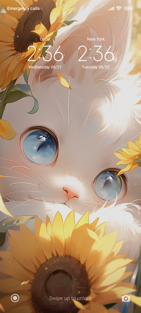 Sunflower and cat screenshot