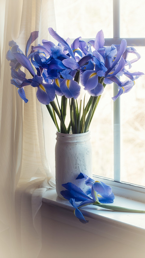 Iris bouquet screenshot