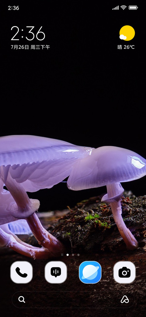 Mushroom Root screenshot