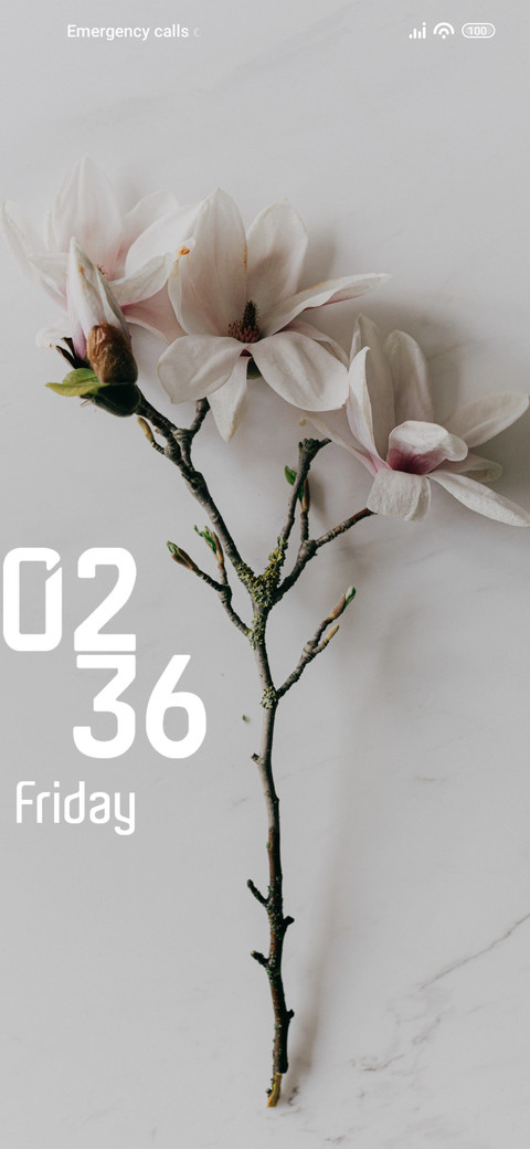 Floral screenshot