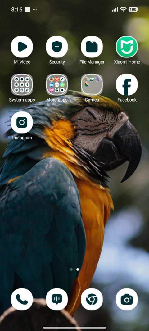 Rainbow Plumage screenshot