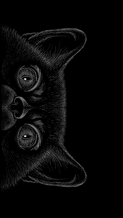 黑猫先生-拍信图库 screenshot