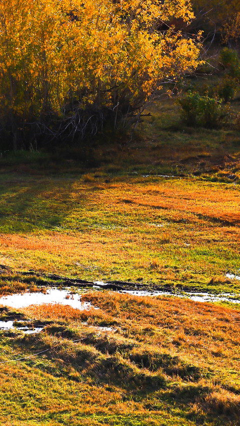 Autumn Scenery On Earth screenshot