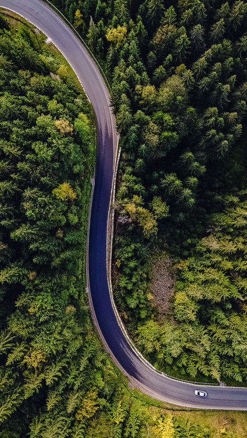 Forest road-05 screenshot