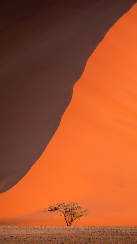 Shadows and light on Namib Desert’s red sands screenshot