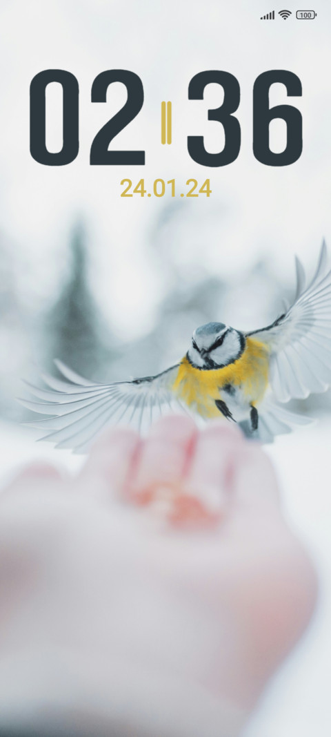 Winter Bird screenshot
