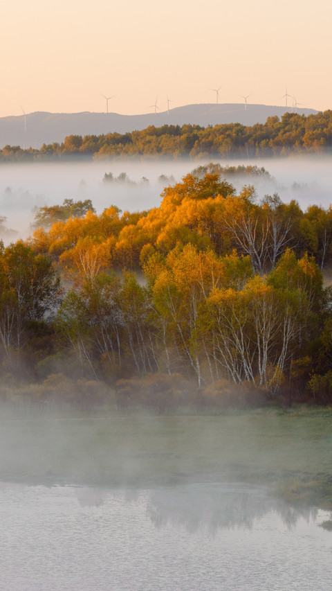 Autumn morning light at Saihanshan screenshot