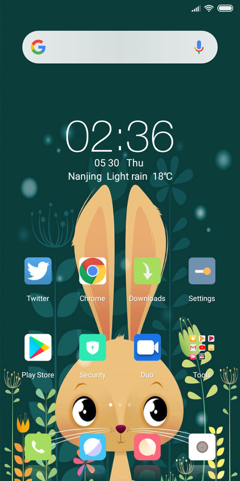 Rabbit_DWM19 screenshot