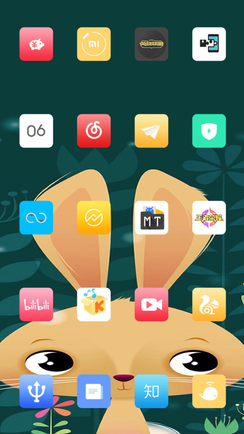 Rabbit_DWM19 screenshot