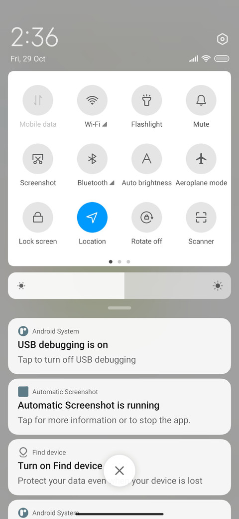 Small crocodile screenshot