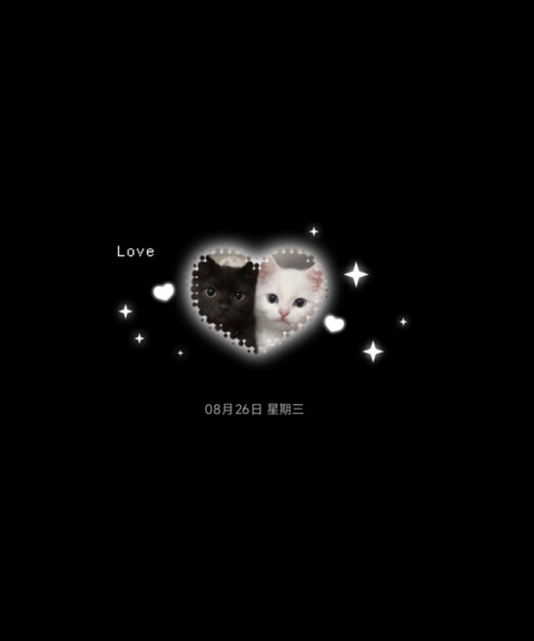 韩系拍立得波点小猫 screenshot