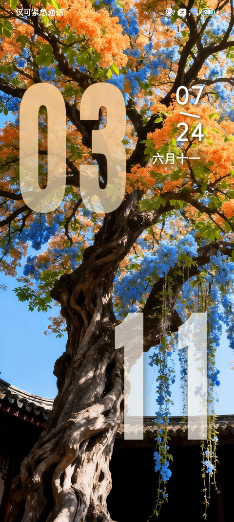 景深 梧桐落夏 screenshot
