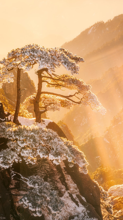 一眼心动的冬日壁纸 screenshot