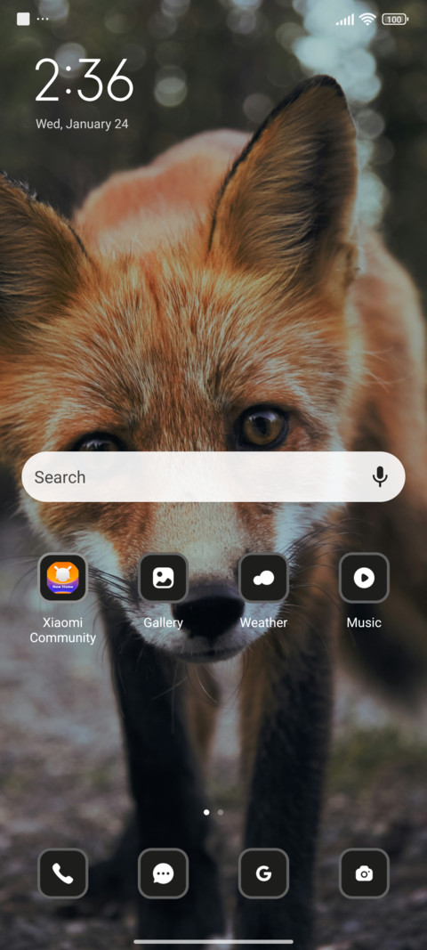 Orange Fox screenshot