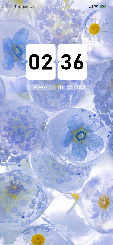 The flower  screenshot