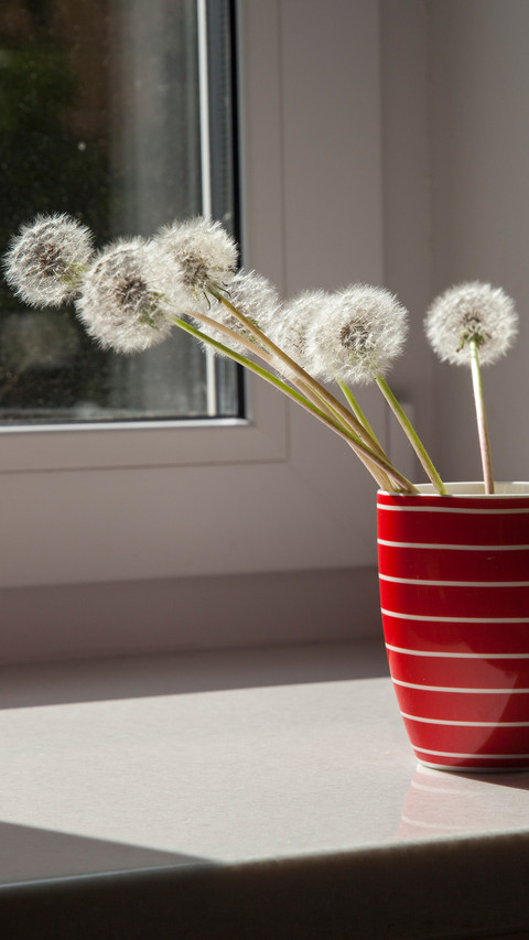 Spring flower arrangement screenshot