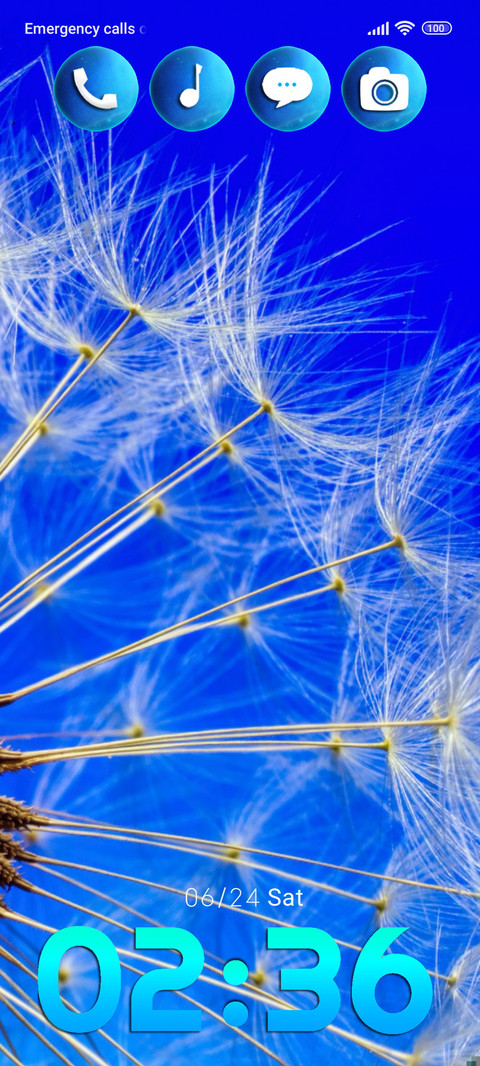 flowers dandelion screenshot