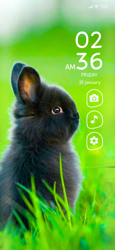 Rabbit o screenshot