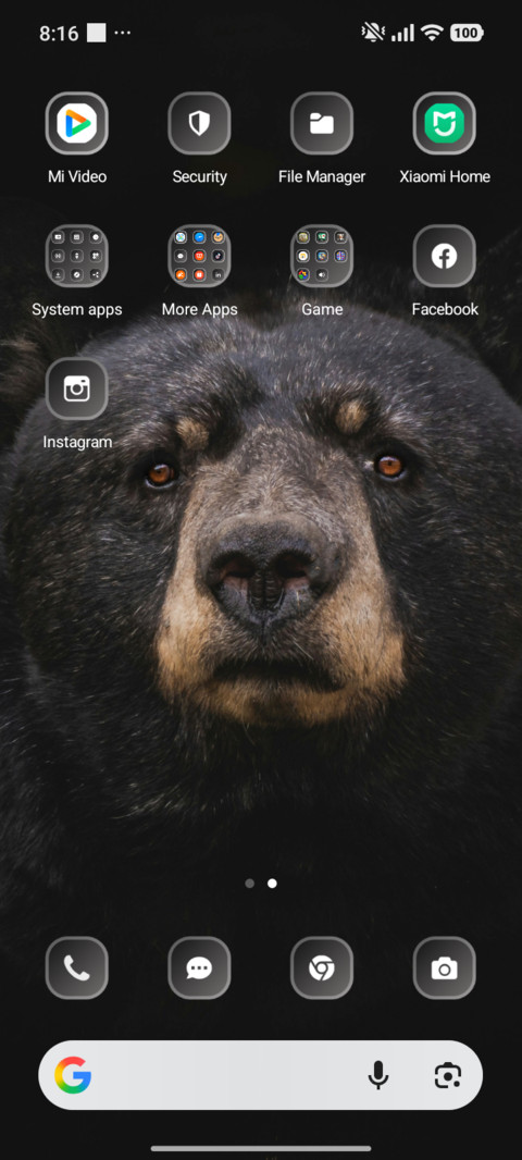 Bear screenshot
