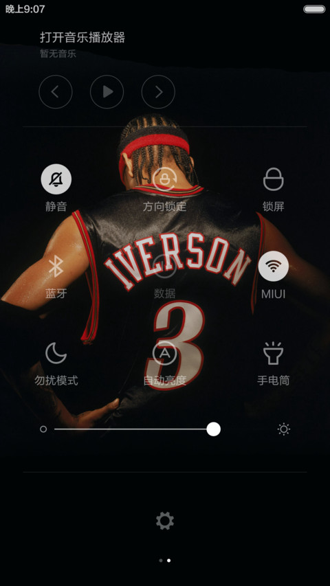 艾弗森-忠艾一生 screenshot