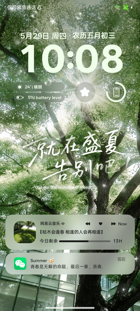 ins夏天以你为名 screenshot
