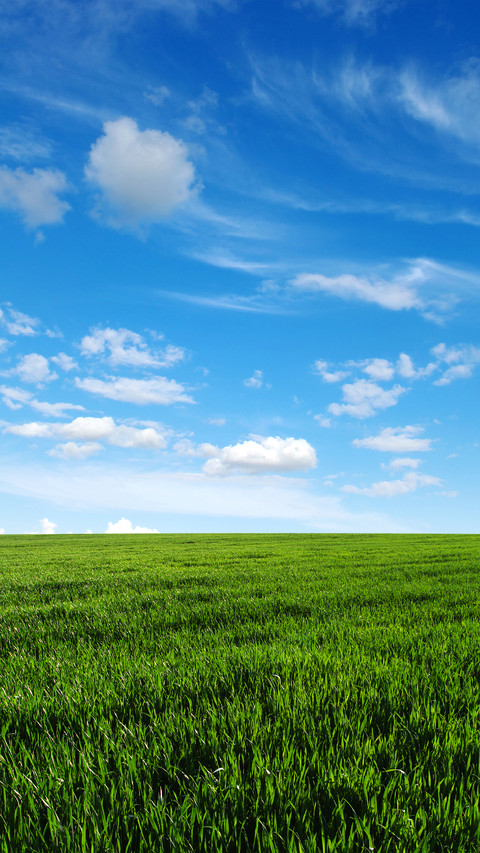 Green eye protection prairie wallpaper screenshot