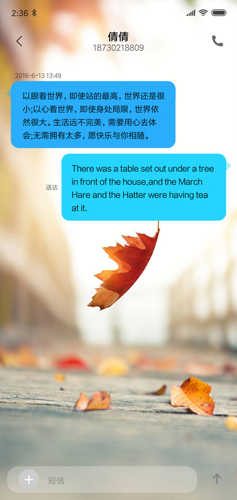 落叶 screenshot