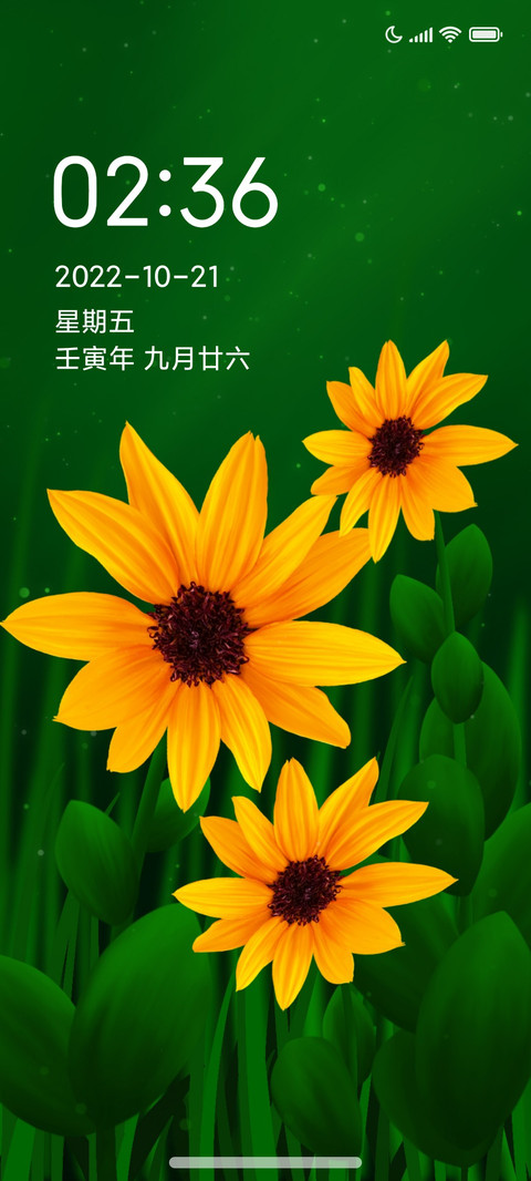 静美绽放 screenshot