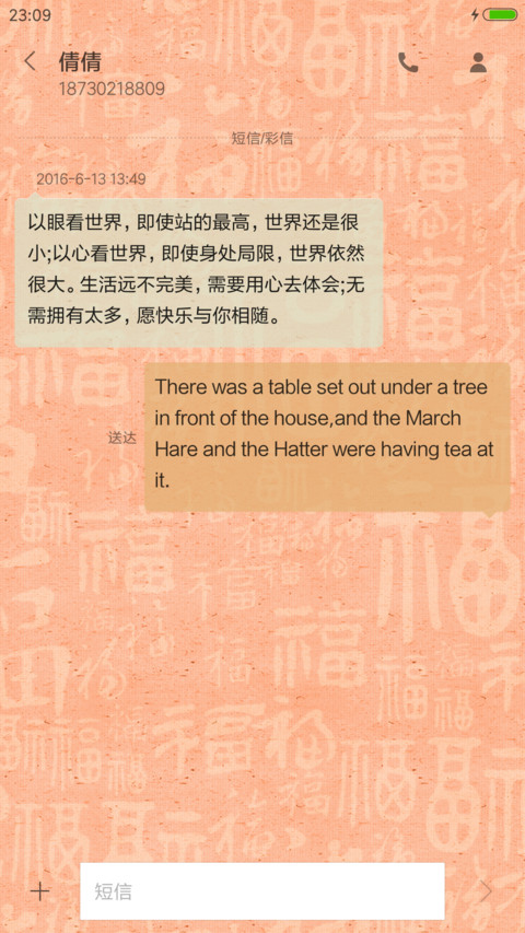 鸡年大吉 screenshot