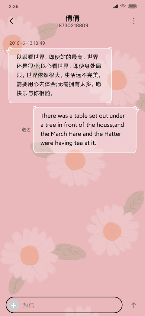 小雏菊 screenshot