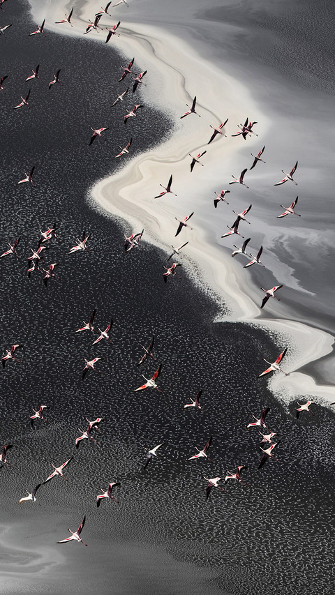 Viewing the world from a drone perspective screenshot