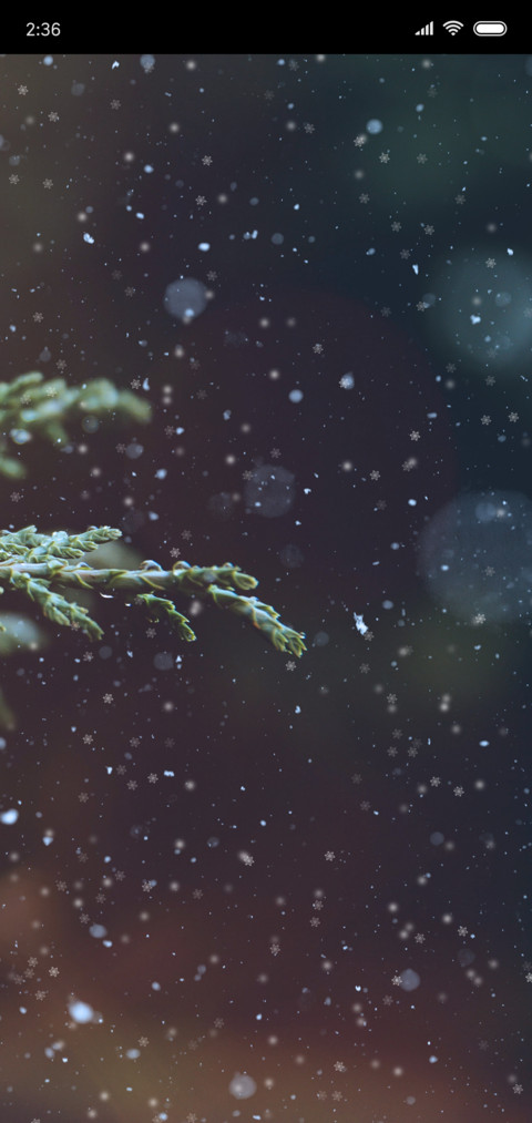 雪松 screenshot