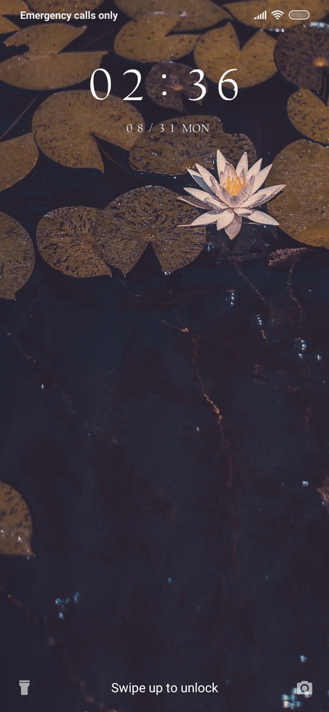 Lotus Lake_3MDS screenshot
