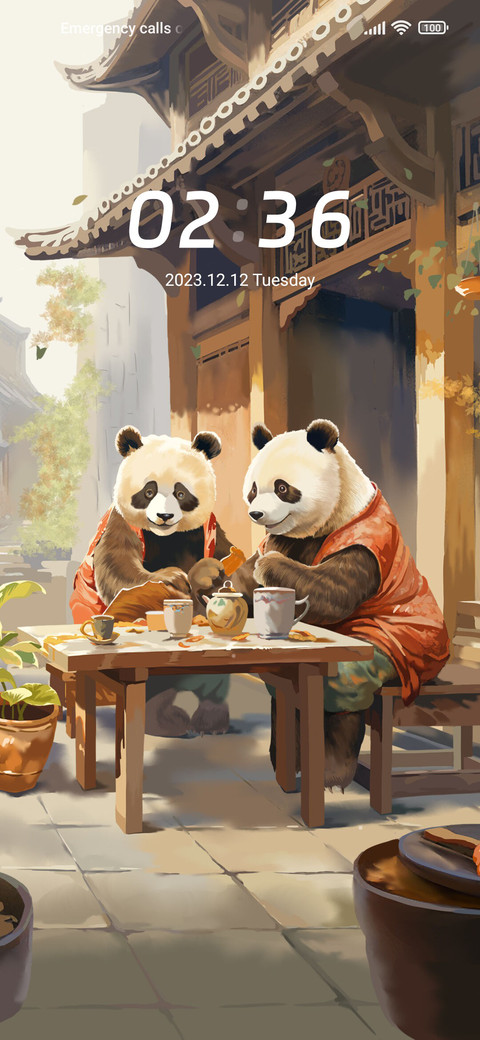 Leisure Panda screenshot