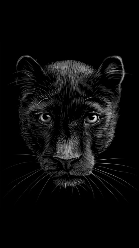 Black and White Photography Art screenshot