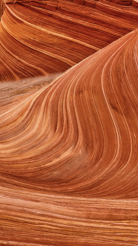 洒脱自如 screenshot