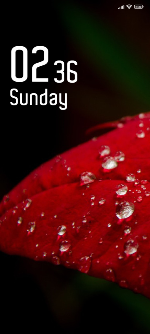 Leaf screenshot
