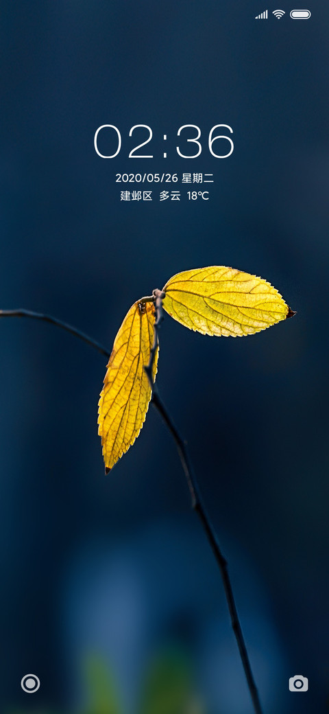 静谧秋叶 screenshot