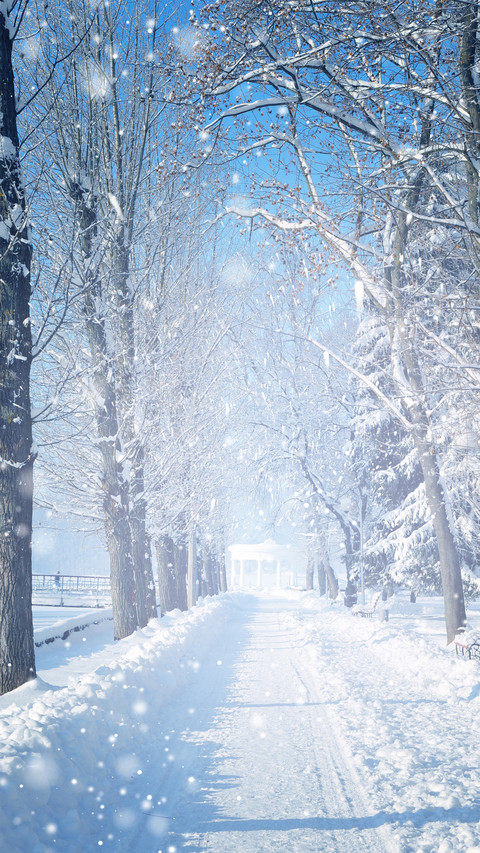 Winter beauty screenshot