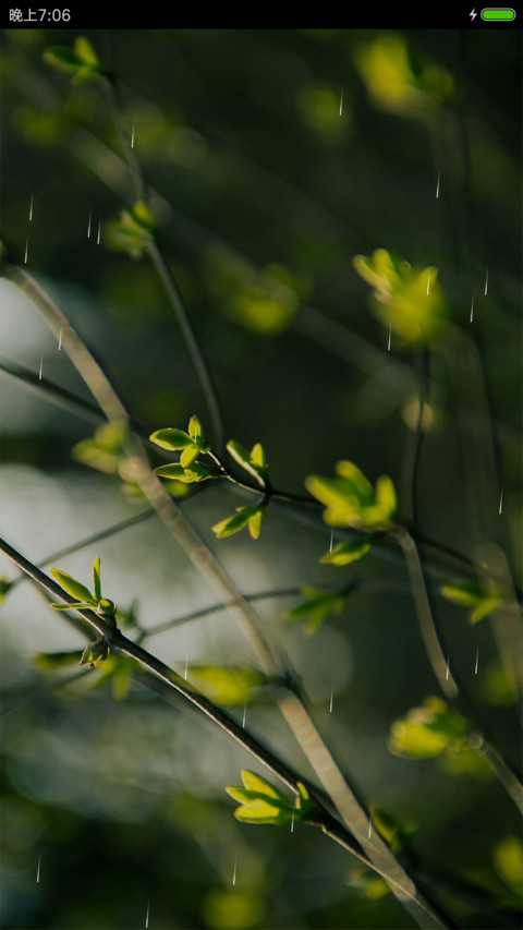 春意萌芽 screenshot