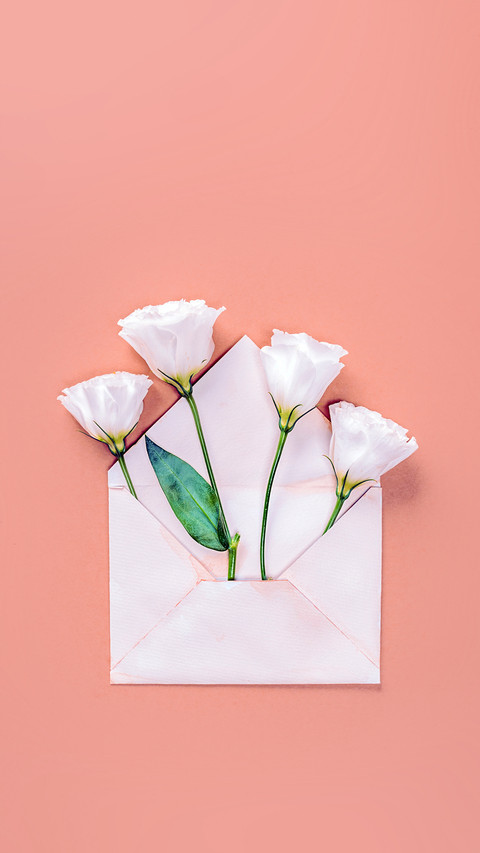 A Letter from Spring screenshot