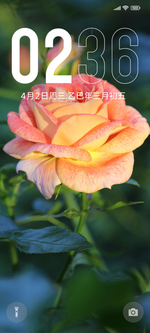 花的浪漫 screenshot
