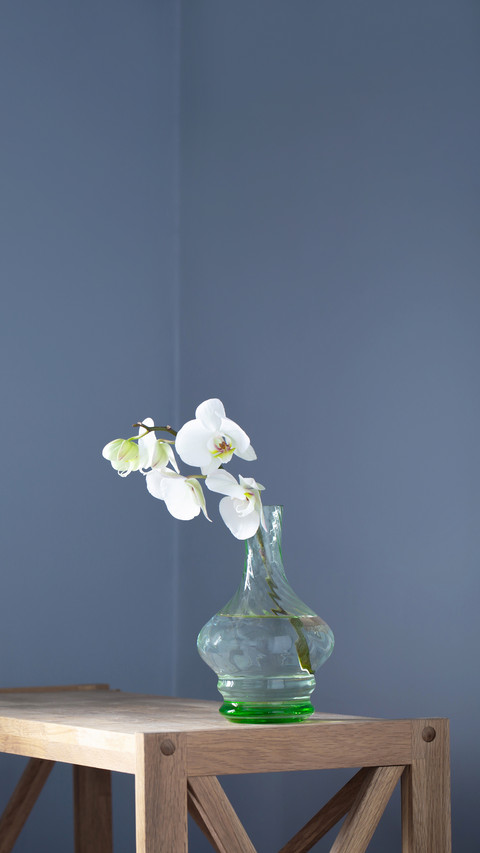 White orchid in vintage glass vase on wooden shelf screenshot