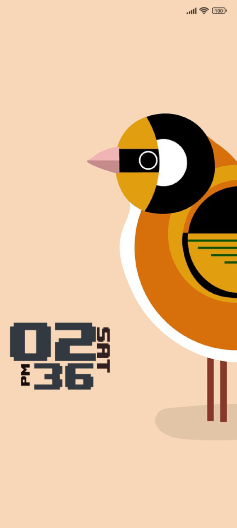 Bird screenshot