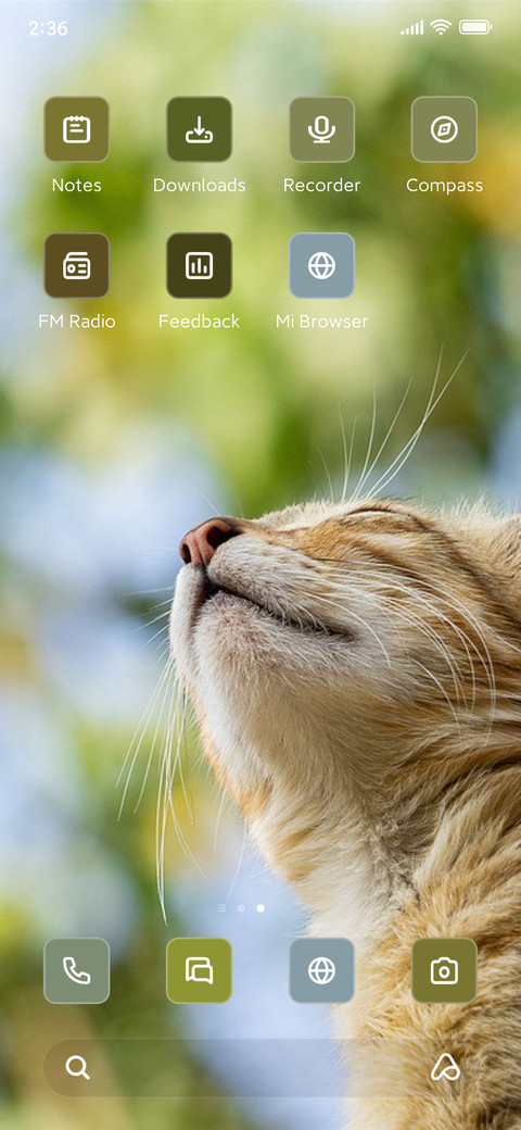 Feline Dreams screenshot