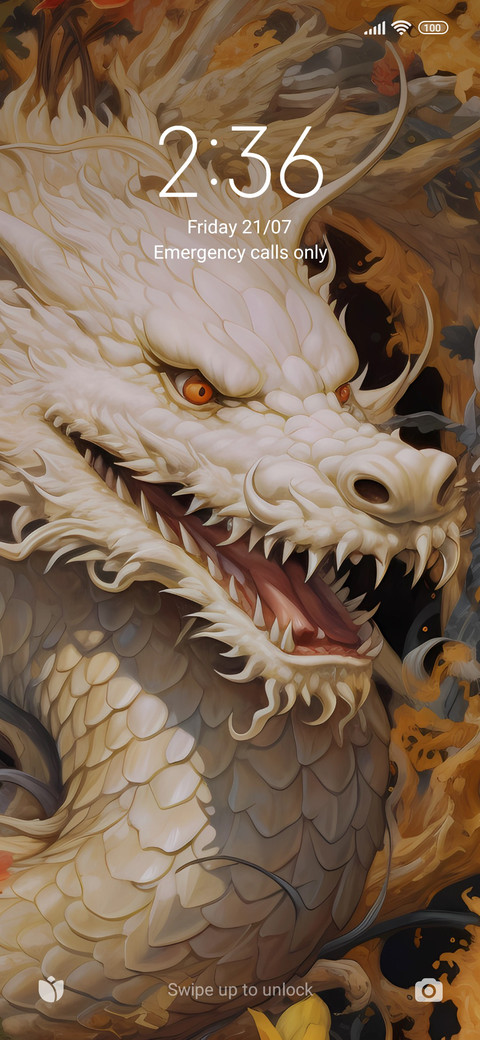dragon F screenshot