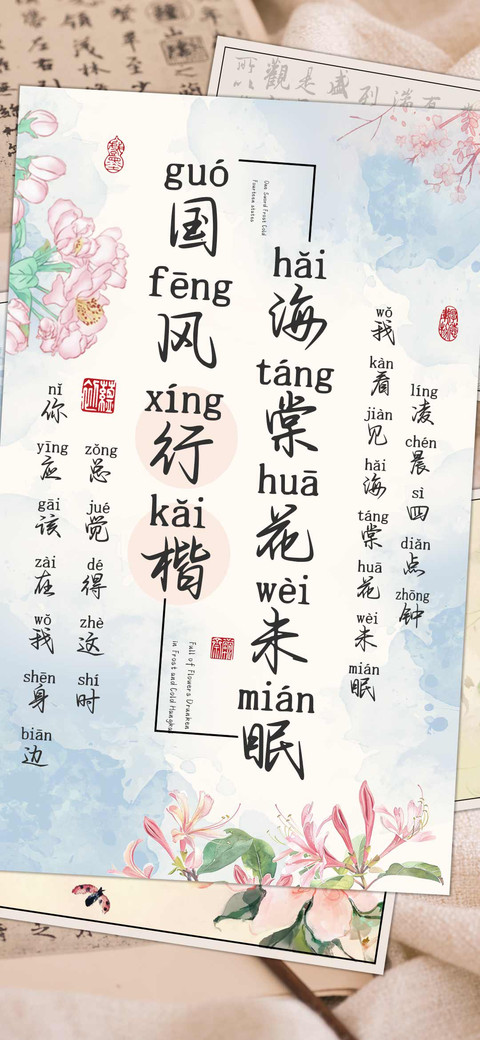 海棠花未眠国风行楷 screenshot