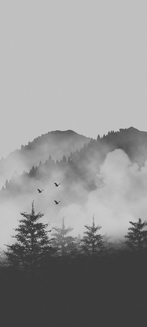 雾锁山林 screenshot